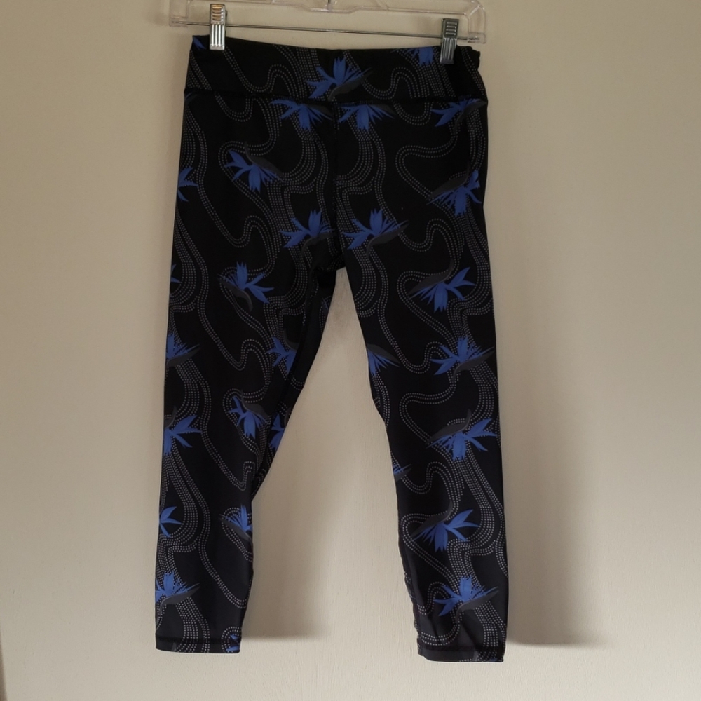 Fighting Eel/ Ava Sky Fit